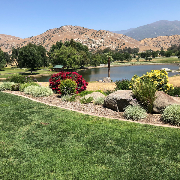 Top Rated Irrigation Porterville